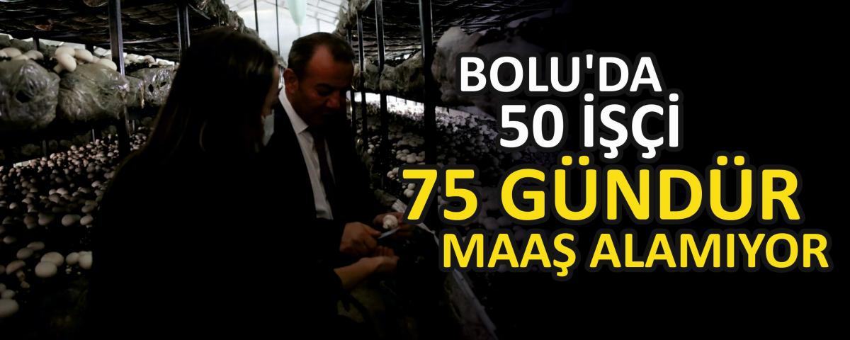 Bolu'da 50 işçi 75 gündür maaş alamıyor