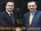 Nato abuk olsun