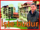 evrecilik ite budur