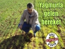 Yamurla gelen bereket