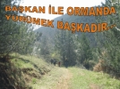 Ormana davetlisiniz