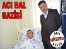Ac bal gazisi