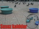 Susuz kaldlar