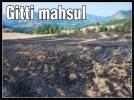 Gitti mahsul