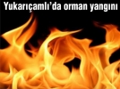Yukaraml’da orman yangn