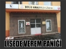 Lisede verem panii