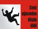  metre ykseklikten dt hayatn kaybetti