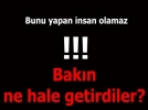 Bunu yapan insan olamaz