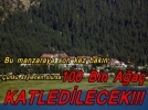 Boluda 100 bin aa kesilecek