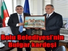 Boluya bir karde daha