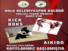 Aikido kaytlar da balad
