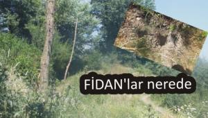 FDAN'lar nerede?