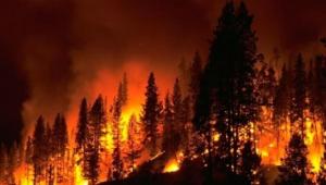 Orman yangnlarna kar tedbirler artrld