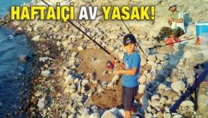 BALIK AVLAMAK YASAK!