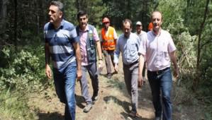 ahin, almalar yerinde inceledi