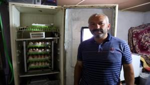 Eski buzdolaplarnda civciv yetitiriyor