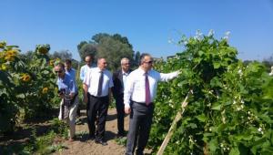 Dzce Valisi Bebek Meyve Orman'na hayran kald