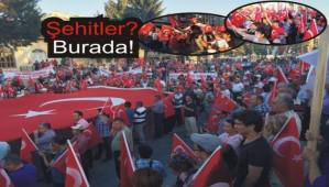 BOLU'DA TERRE LANET YRY