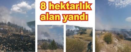 SEBEN'DE ORMAN YANGINI