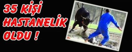 Acemi kasaplar yaraland