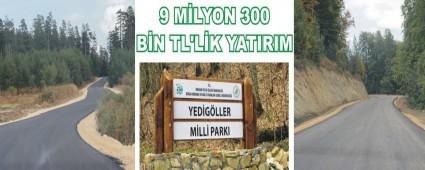 YEDGLLER MLL PARKI'NA DEV YATIRIM