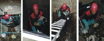 TFAYE SU KANALINDA CAN KURTARDI