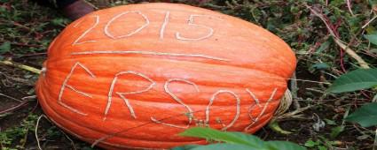 Krkler Ky'nde dev kabaklar