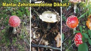 Mantar Zehirlenmelerine Dikkat.!