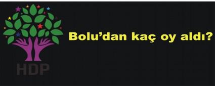 BOLU'DA HDP'NN OYLARI DT