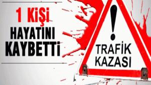 MENGEN'DE TRAFK KAZASI: 1 L