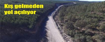 Krolu Dalar'nda alma balad