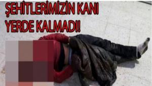 EHTLERMZN KANI YERDE KALMADI...