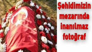 EHDMZN SLET MEZARINA DT