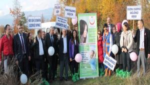 Meme kanseri iin Pembe Kurdele Orman