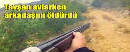 Tavan av hapiste bitti