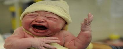 BOLU'DA 3 BN 530 BEBEK DNYAYA GELD