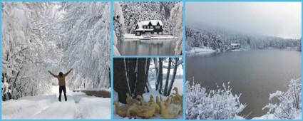 GLCK'TE KARTPOSTALLIK GRNTLER