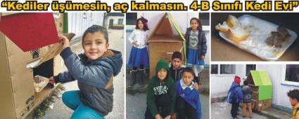 LKOKUL RENCLERNDEN NSANLIK DERS