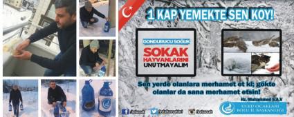 1 Kap Yemekte Sen Koy