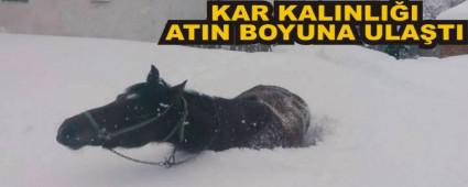 ABANT YOLUNDA KAR KALINLII BR METREYE ULATI