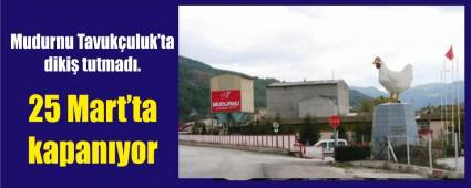 MUDURNU TAVUKULUK YENDEN KAPANIYOR