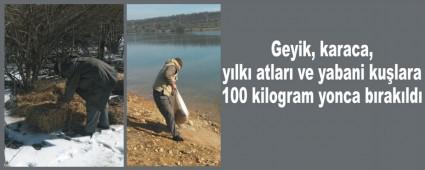 Bolu'da yaban hayvanlar iin yem brakld