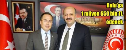 Bolu'ya yine milyonluk denek