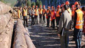 YABAN HAYVANLARININ EN BYK STRES KAYNAI NSANLAR