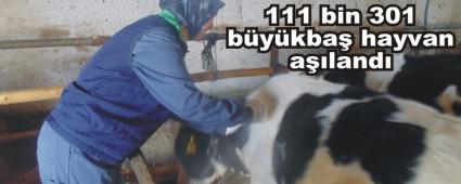 ap Alamasnda Rekor Krld