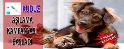 Bolu'da kuduz kampanyas balad