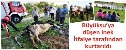 Dereye yuvarlanan inei tfaiye kurtard