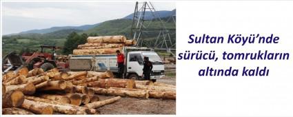 Tomruklarn altnda kald