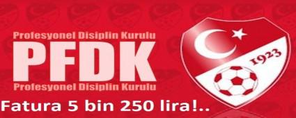 5250 lira ceza geldi