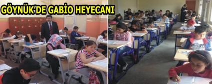 Gynk'te GABO Snav Yapld